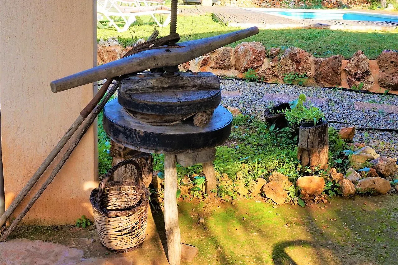 شقة سينيو  في Casa Adelina