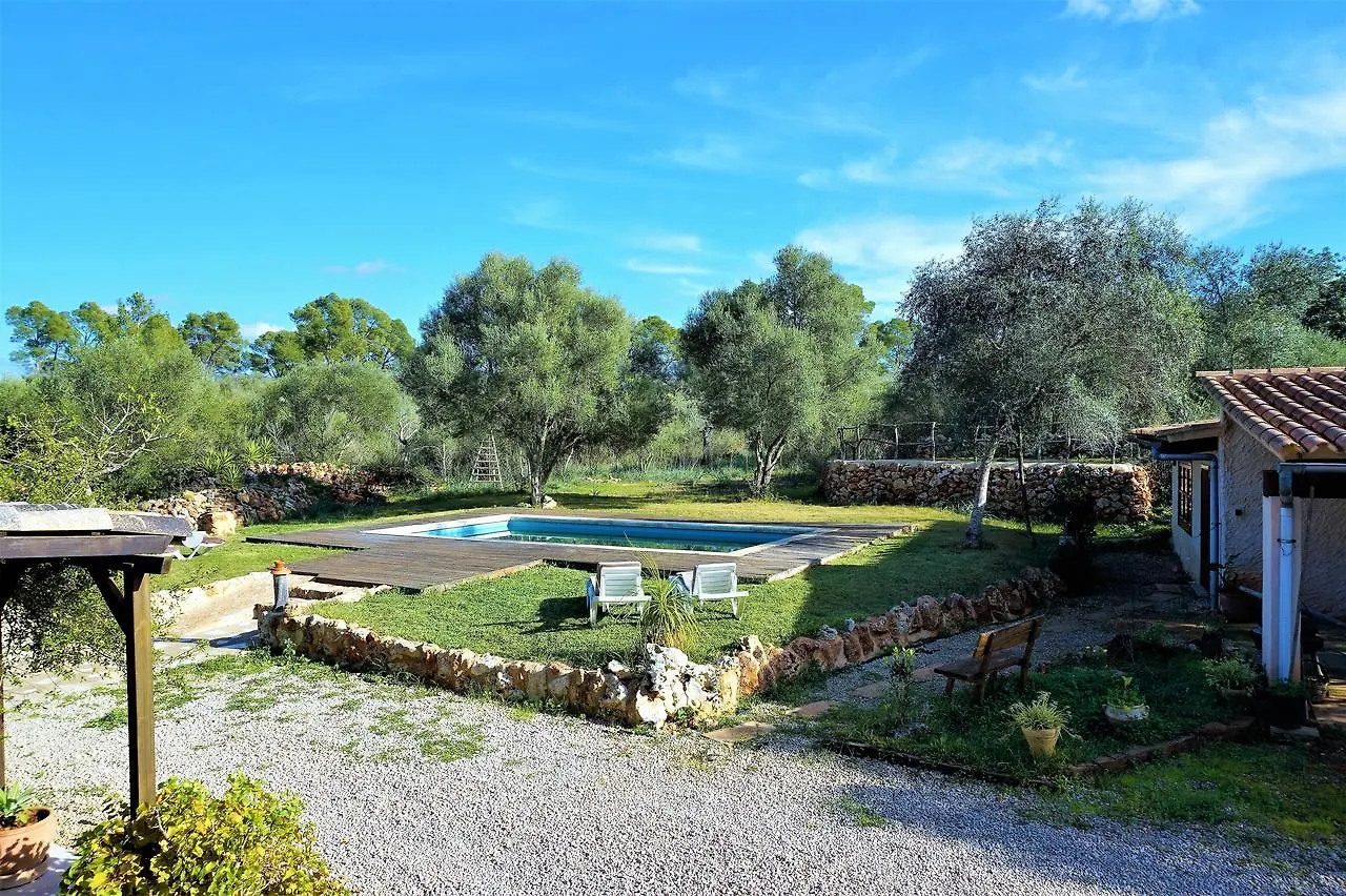 דירות סינאו Casa Adelina