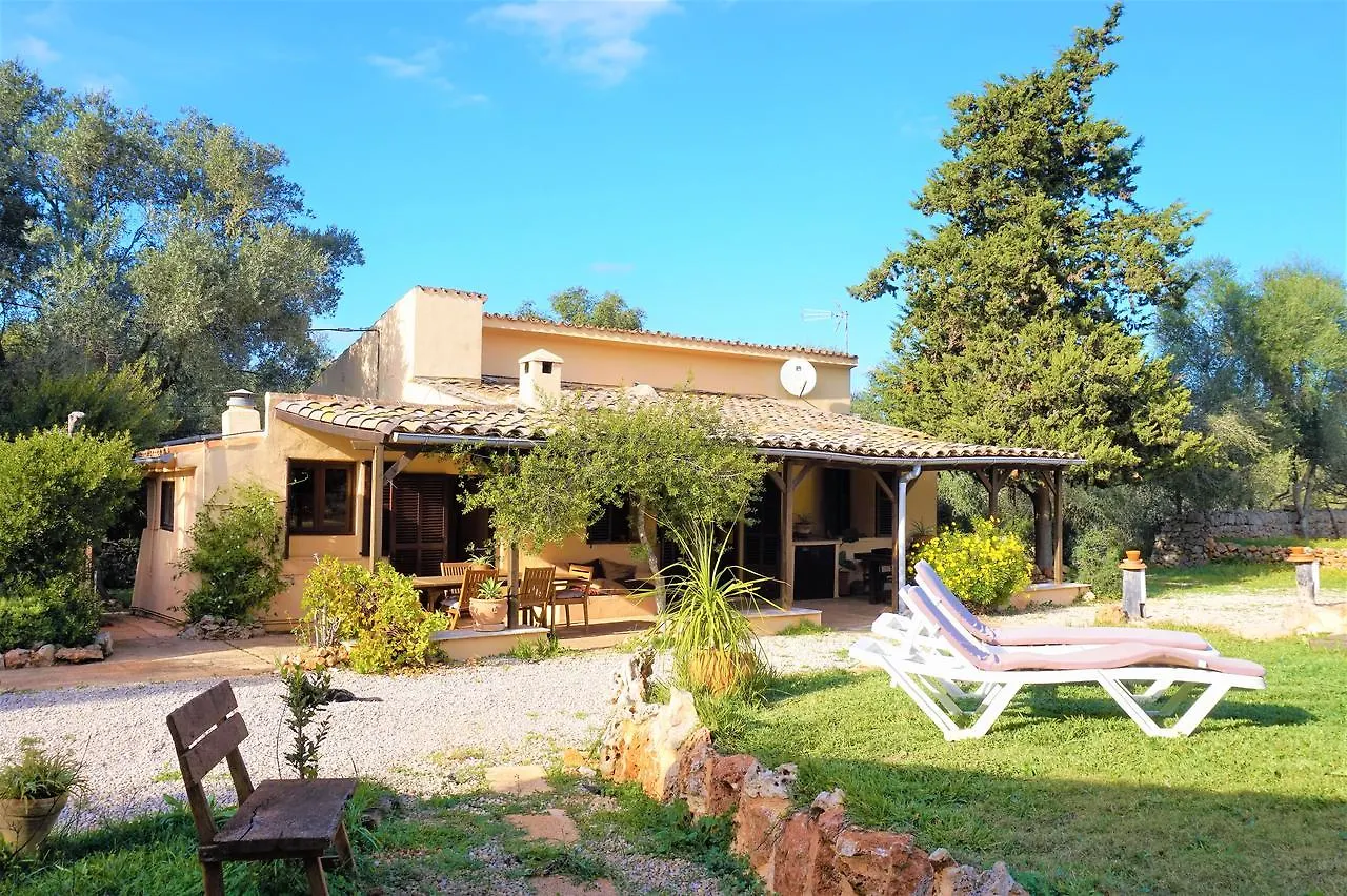 דירות סינאו Casa Adelina